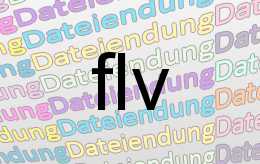 flv Datei